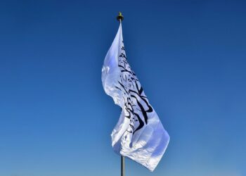 لِغــيرِ اللّــه لَـن نركـع!