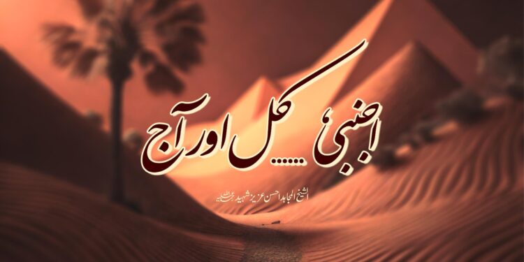 اجنبی ___ کل اور آج | آٹھویں قسط