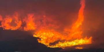 برے کام کا انجام برا ہے……