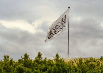 افغاں سے محبت مِری ایماں کے لیے ہے!