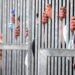 اسرائیل کا سزائے موت کا قانون: فلسطینی وجود کو مٹانے کی کوشش